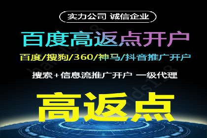 竞价排名与自然排名的对比案例